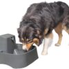 PetSafe Drinkwell 1/2, 1, or 2 Gallon Pet Fountains