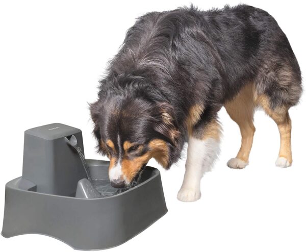 PetSafe Drinkwell 1/2, 1, or 2 Gallon Pet Fountains