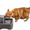 PetSafe Drinkwell 1/2, 1, or 2 Gallon Pet Fountains