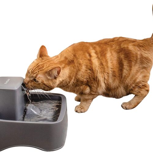 PetSafe Drinkwell 1/2, 1, or 2 Gallon Pet Fountains