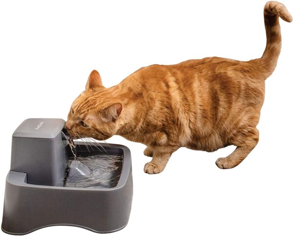 PetSafe Drinkwell 1/2, 1, or 2 Gallon Pet Fountains
