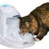 PetSafe Drinkwell Platinum Pet Fountains - Best for Cats and Small to Medium Dogs