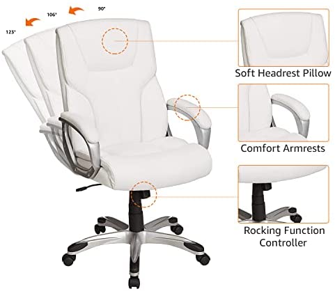 Executive Home Office Desk Chair with Padded Armrests- Black/Silver