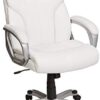 Executive Home Office Desk Chair with Padded Armrests- Black/Silver