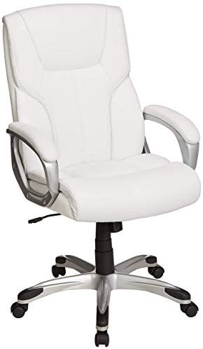 Executive Home Office Desk Chair with Padded Armrests- Black/Silver