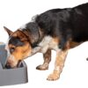 PetSafe Drinkwell 1/2, 1, or 2 Gallon Pet Fountains