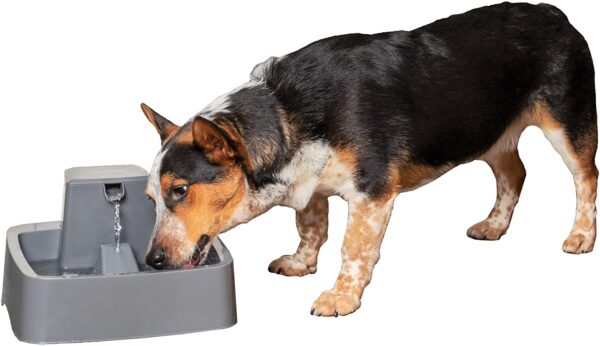 PetSafe Drinkwell 1/2, 1, or 2 Gallon Pet Fountains