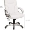 Executive Home Office Desk Chair with Padded Armrests- Black/Silver