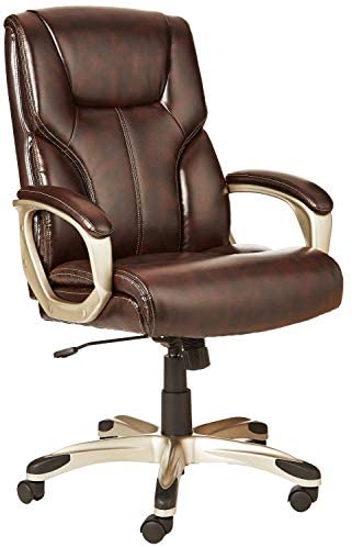 Executive Home Office Desk Chair with Padded Armrests- Black/Silver