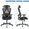 SUNNOW Ergonomic Office Chair, Mesh Computer Desk Chair , High Back Executive Task Chair