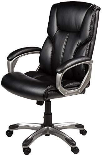Executive Home Office Desk Chair with Padded Armrests- Black/Silver