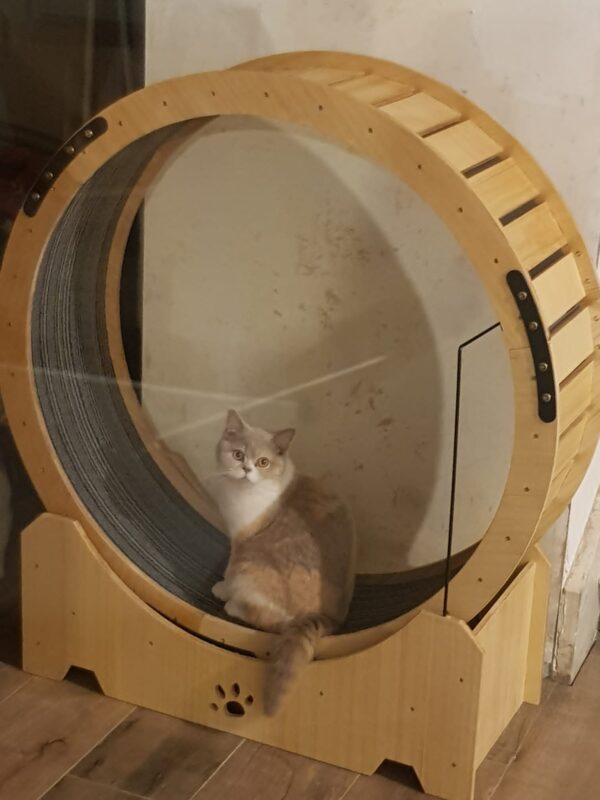 Cat Exercise Wheel 29.5" Cat treadmill Running Wheel