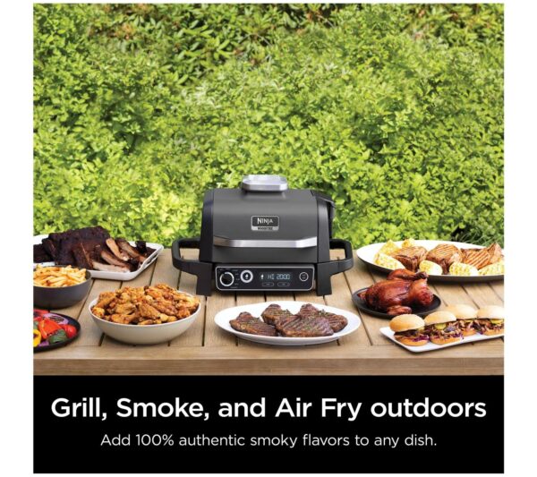 743009CA-4B9D-DF48-0A1D-EA3DD570F951 Ninja 7-in-1 Woodfire Electric Outdoor Grill &Air Fryer Grill ,Grey - MadeInUSA