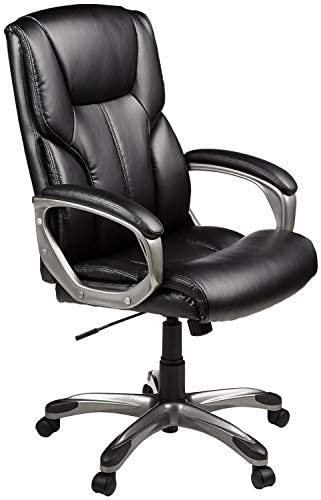 Executive Home Office Desk Chair with Padded Armrests- Black/Silver