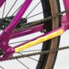 Haro SloRide 29 Freestyle BMX Purple - MadeInUSA