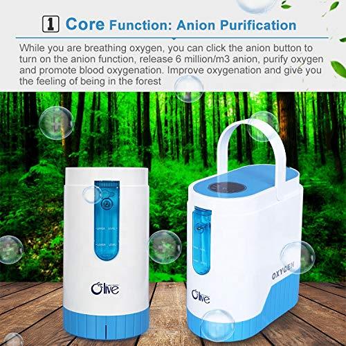 Dorka Oxyen Concentrator Generators, Adjustable O2 Machine for Home,AC110V