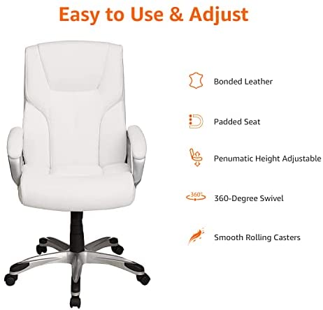 Executive Home Office Desk Chair with Padded Armrests- Black/Silver