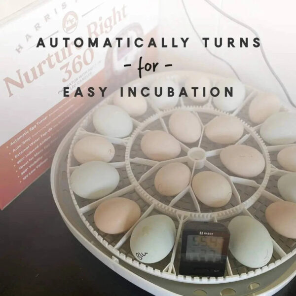 Harris Farms Nurture Right 360 Incubator - MadeInUSA