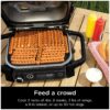 Ninja 7-in-1 Woodfire Electric Outdoor Grill &Air Fryer Grill ,Grey - MadeInUSA