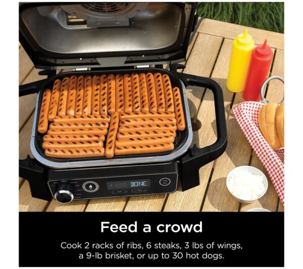 DA2D42B4-61C2-54B2-B04A-D596317F9D9D Ninja 7-in-1 Woodfire Electric Outdoor Grill &Air Fryer Grill ,Grey - MadeInUSA