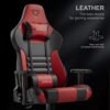 Furgle Gaming Chair, Racing Style High-Back Ergonomic Chair
