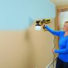 Wagner Spraytech 0529010 FLEXiO Handheld HVLP Paint Spraye