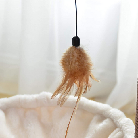 best cat scratching post