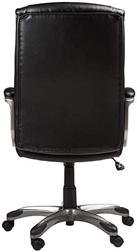 Executive Home Office Desk Chair with Padded Armrests- Black/Silver