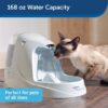 PetSafe Drinkwell Platinum Pet Fountains - Best for Cats and Small to Medium Dogs