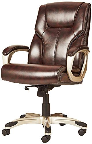 Executive Home Office Desk Chair with Padded Armrests- Black/Silver