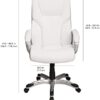 Executive Home Office Desk Chair with Padded Armrests- Black/Silver