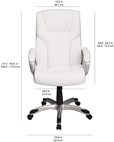 Executive Home Office Desk Chair with Padded Armrests- Black/Silver
